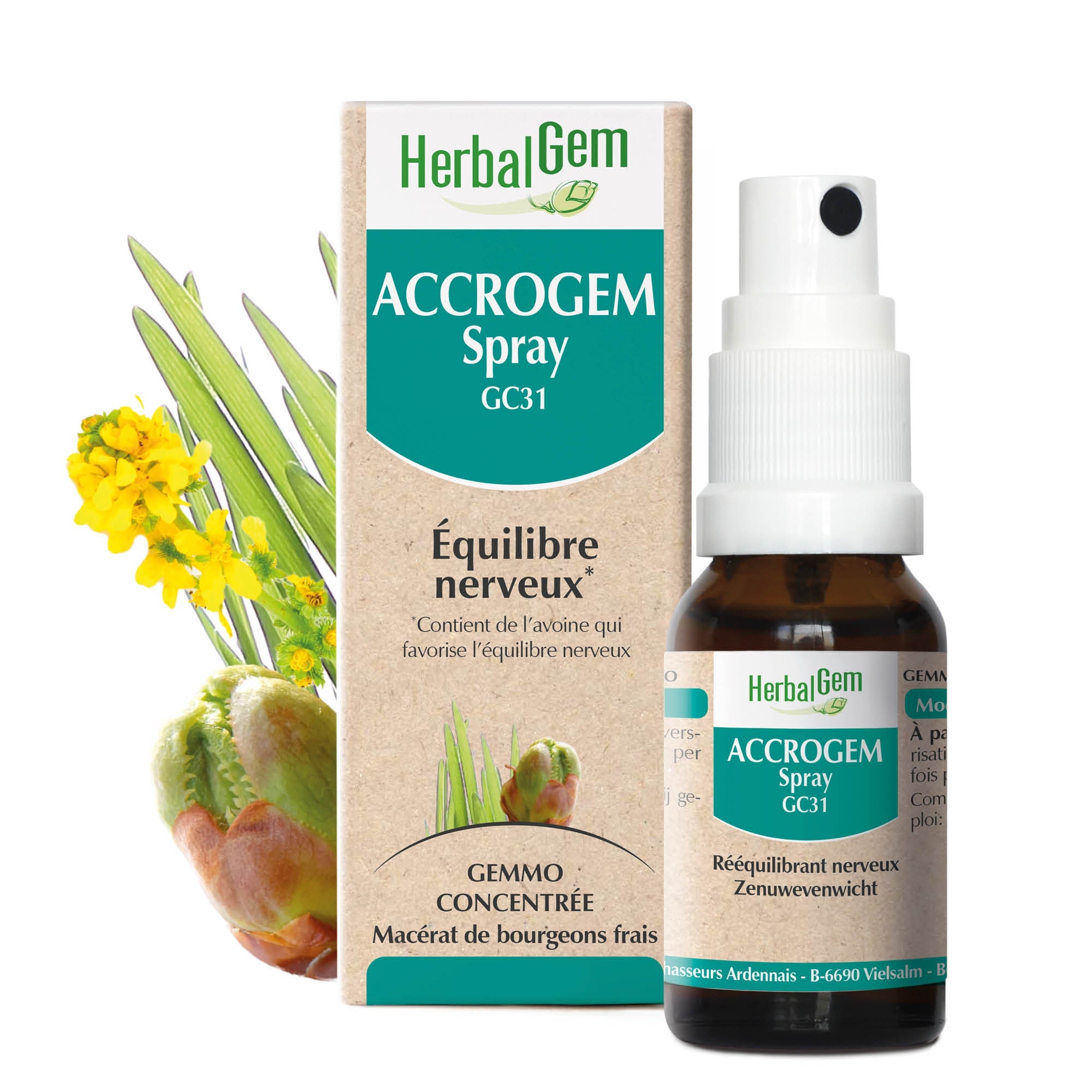 ACCROGEM - Spray