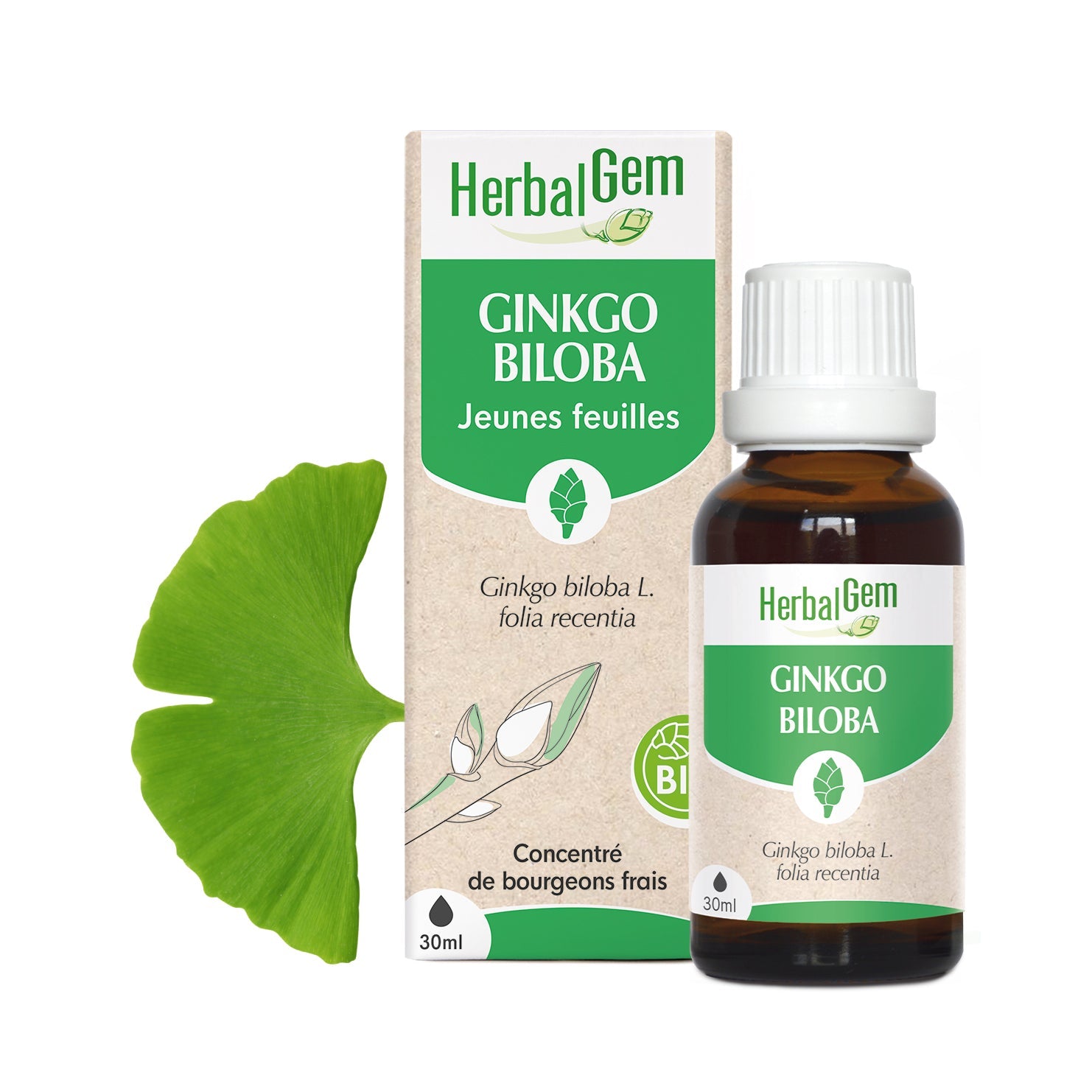 Bourgeon de Ginkgo Biloba - Bio