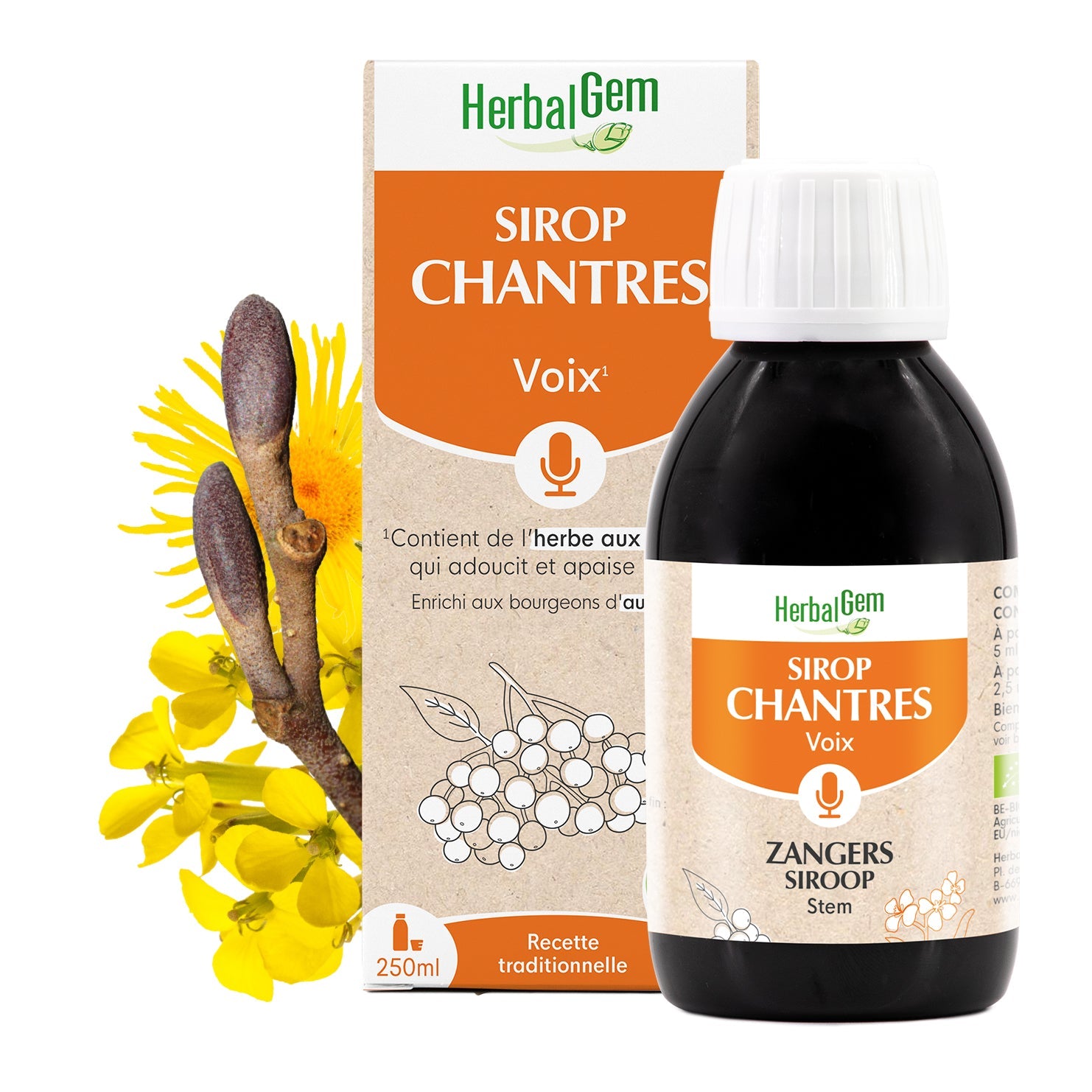 Sirop des Chantres pour voix enrouée - Bio